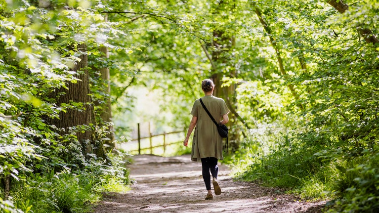 A visitor explores Morgaston Woods at The Vyne.